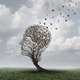 Lightspring / Shutterstock